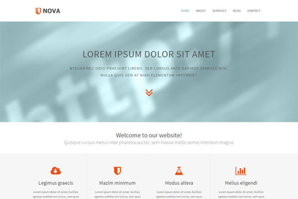 轰炸电话号码网站